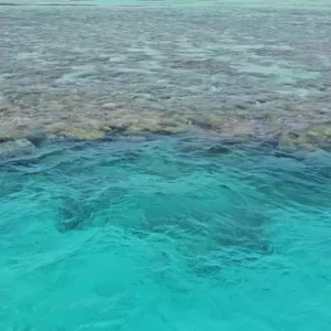 Видео продолжительностью 14.97 секунд морская лагуна