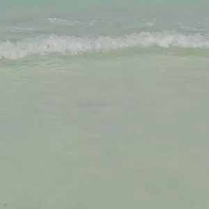 Видео продолжительностью 14.63 секунд пены морской волны