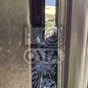 Изображение черные птенцы