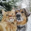 Изображение рыжие собака и кот в заснеженном лесу