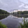 Пруд, окаймленный лесом, это не просто живописный пейзаж, но и значимый элемент экосистемы, который служит домом для множества видов флоры и фауны. Она напоминает нам о том, как важно бережное отношение к природе и сохранение её красоты. Размещая это изображение в своем контенте, вы не только привлекаете внимание к великолепию природы, но и содействуете обсуждению вопросов экологии и охраны окружающей среды