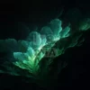 Изображение зелёного растения (ветка) на тёмном фоне